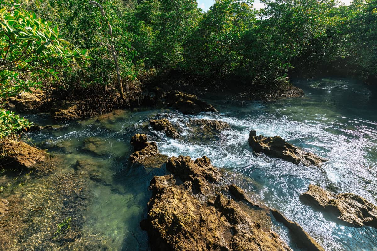 Río de corriente rápida con afloramientos rocosos y densa vegetación selvática, típico de las zonas de selva y cascadas del interior de Krabi, Tailandia.