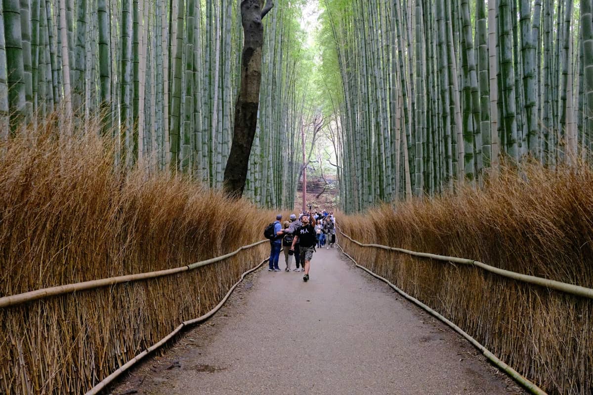 People walking along the iconic bamboo path of Arashiyama Bamboo Grove in Kyoto, with tall bamboo and rustic fences on both sides.