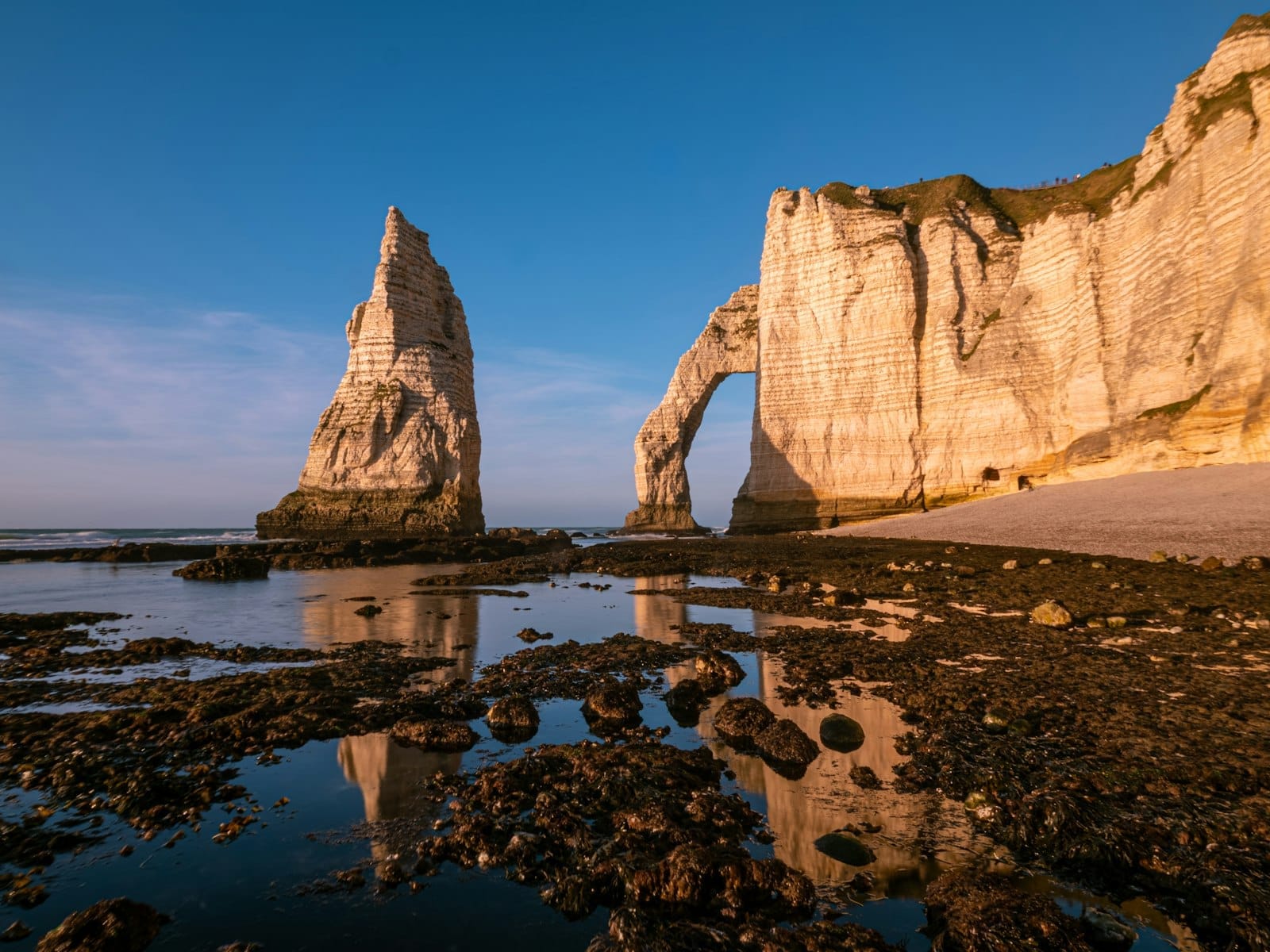 Tebing kapur putih yang dramatis, lengkungan Falaise d'Aval, dan batu jarum tercermin di pasir basah di Étretat saat air surut.