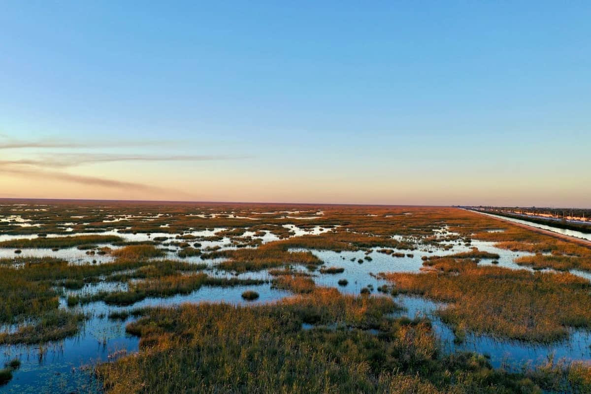 Wide view of the Everglades wetlands with water, grasses, and blue sky stretching to the horizon at sunset.