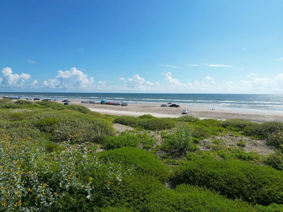 Wide sandy beach on a barrier island with cars parked along the shoreline, grassy dunes in the foreground, and a bright blue sky.