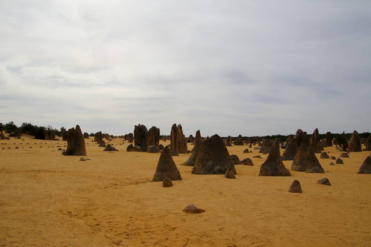 Weite Aussicht auf die Pinnacles Desert im Nambung-Nationalpark mit gelbem Sand und Kalksteinpfeilern unter einem bewölkten Himmel.