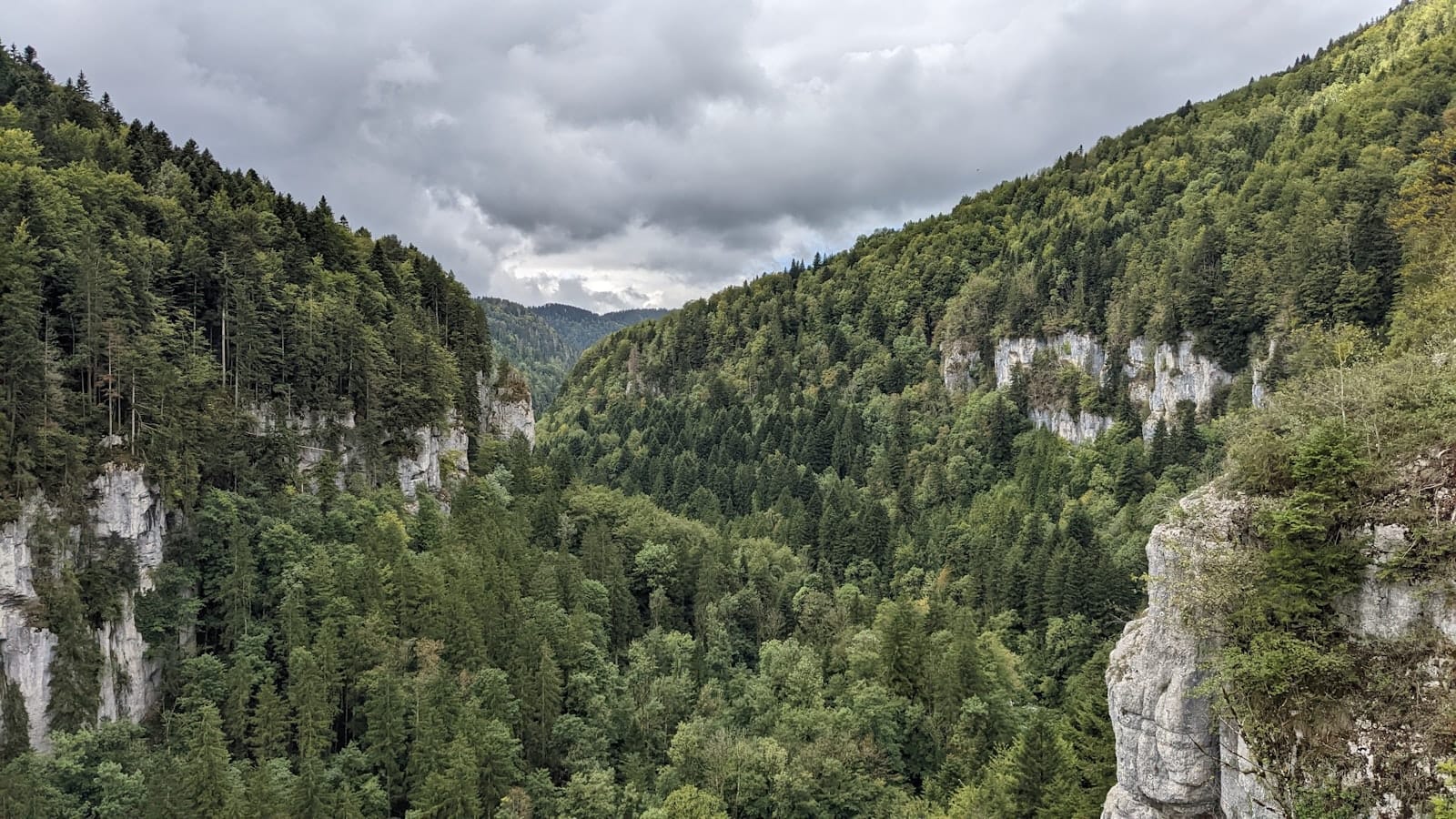 Drammatica gola calcarea fiancheggiata da ripide scogliere boscose sotto cieli nuvolosi, che illustra la natura selvaggia vicino a Praga.