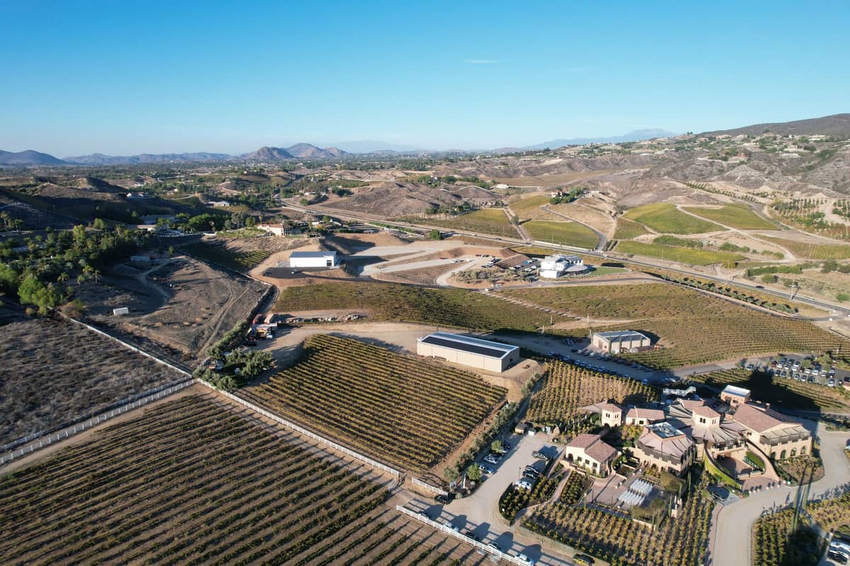 Luftaufnahme der Weinberge des Temecula Valley mit Reihen von Weinreben, Weingutgebäuden und sanften Hügeln unter einem klaren blauen Himmel.