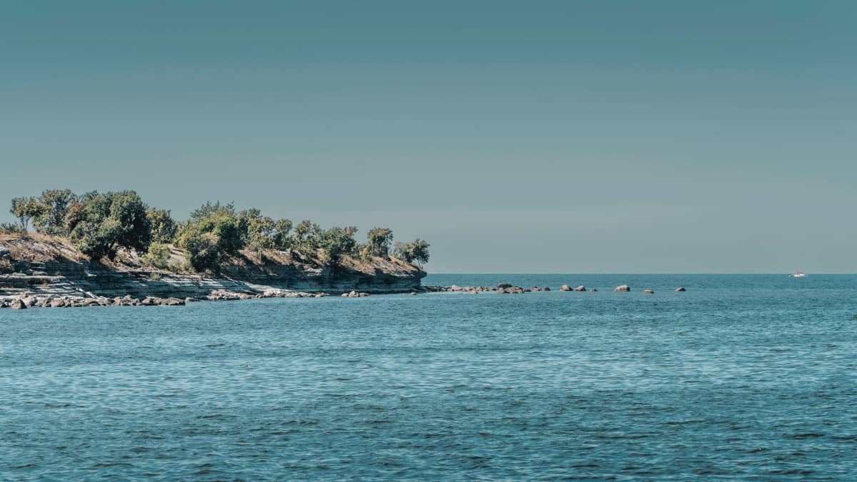 Costa rocosa de una isla arbolada con agua azul cristalina, acantilados bajos y árboles bajo un cielo despejado.