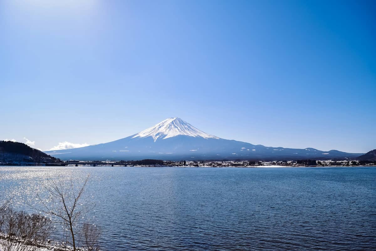Mount Fuji rises above a large lake on a sunny day, with clear blue sky and low wintery vegetation at the lakeshore.