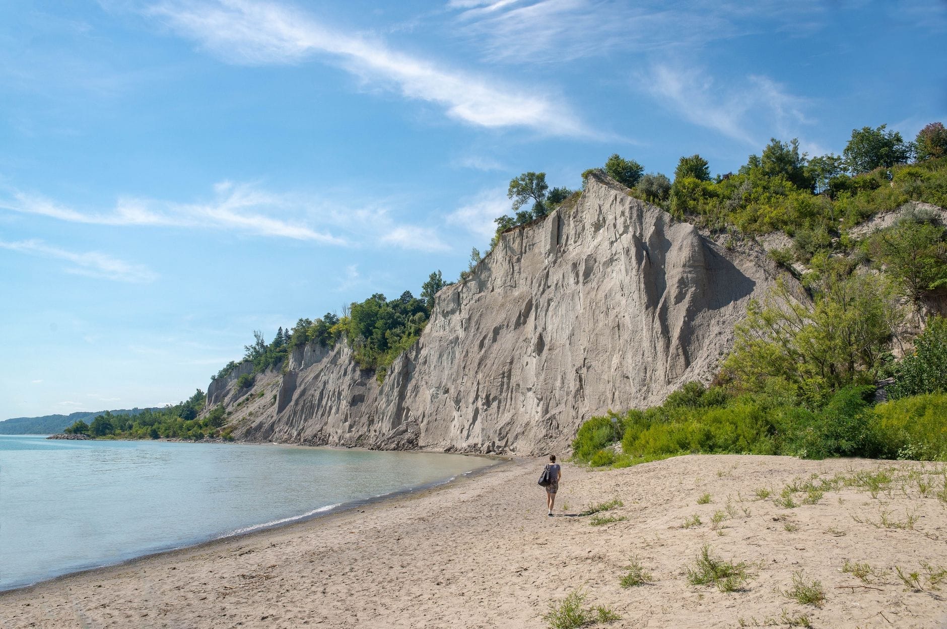 Vaste plage de sable avec une seule personne se promenant, falaises blanches spectaculaires, arbres verts et ciel bleu aux Scarborough Bluffs de Toronto.
