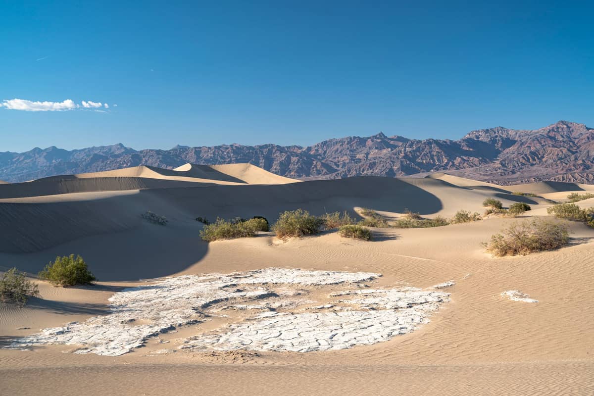 Paisagem ensolarada das Dunas de Areia Mesquite Flat no Parque Nacional Vale da Morte, com dunas dramáticas, arbustos espalhados e montanhas ao fundo sob um céu azul.