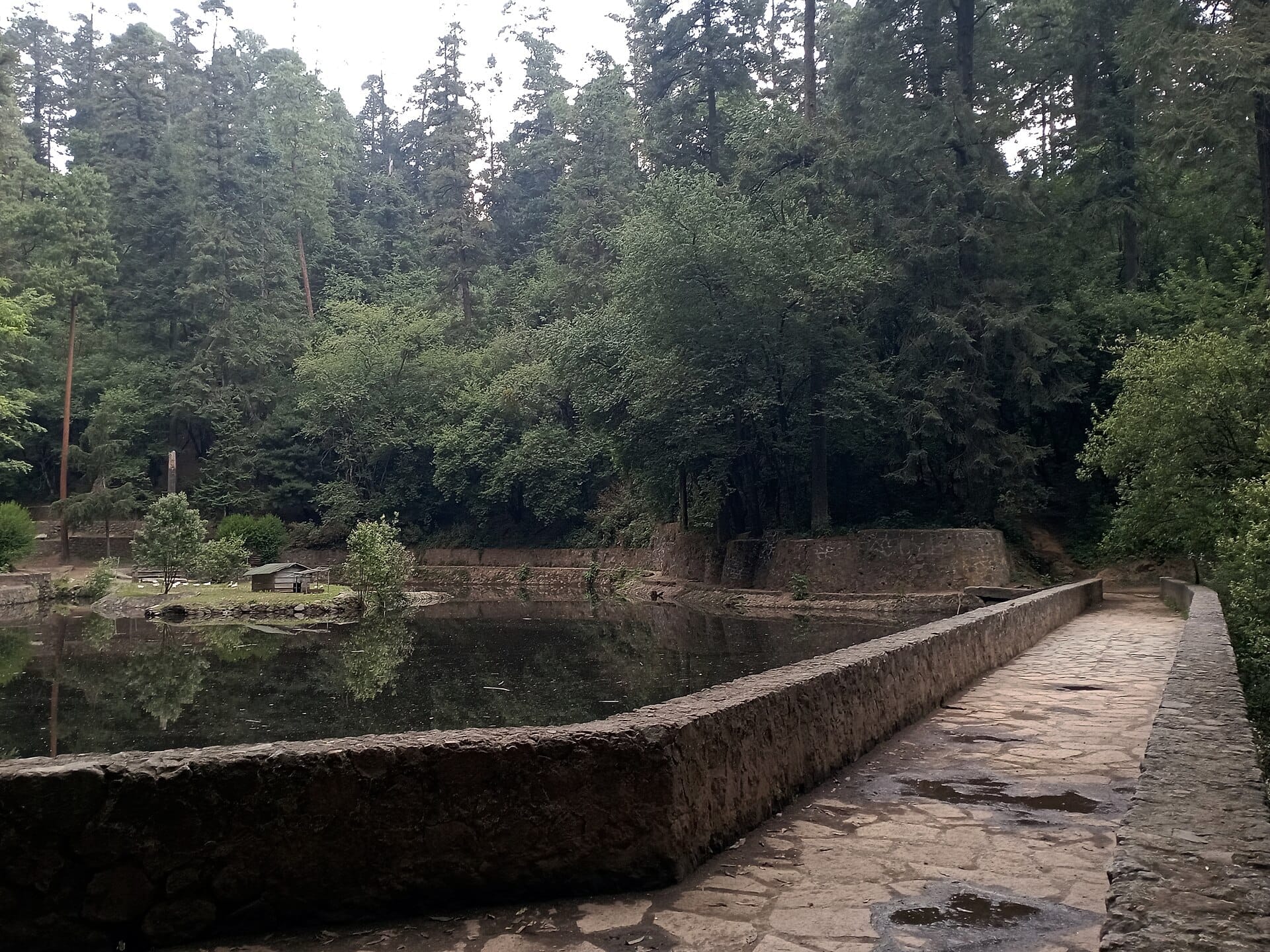 Sentiero in pietra che attraversa uno stagno tranquillo circondato da una fitta foresta di pini e querce nel Parco Nazionale Desierto de los Leones, Città del Messico.