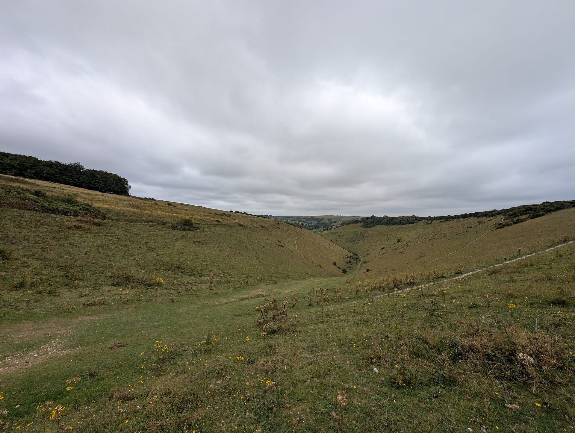 Weiter Blick auf das Tal des Devil's Dyke bei Brighton mit grasbewachsenen Hängen, Wildblumen, Fußwegen und bewölktem Himmel über den South Downs.