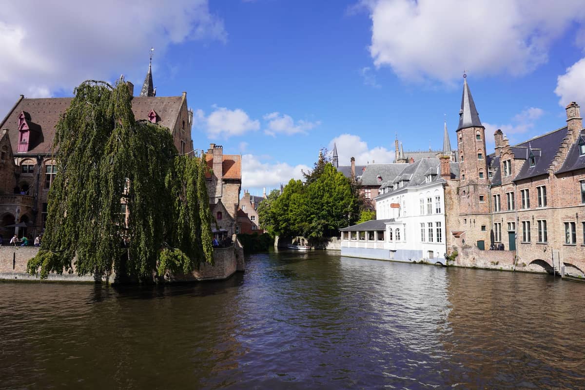 View of Dijver Canal in Bruges with weeping willow, medieval gabled facades, and historic buildings on both canal banks under a blue sky.