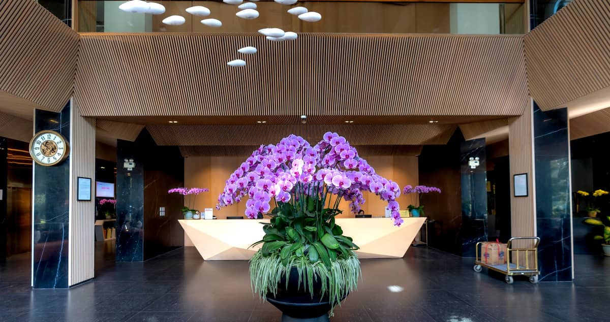 Saguão moderno de hotel em Seul com balcão de check-in central e orquídeas roxas, refletindo os pontos de partida típicos de tours à DMZ.