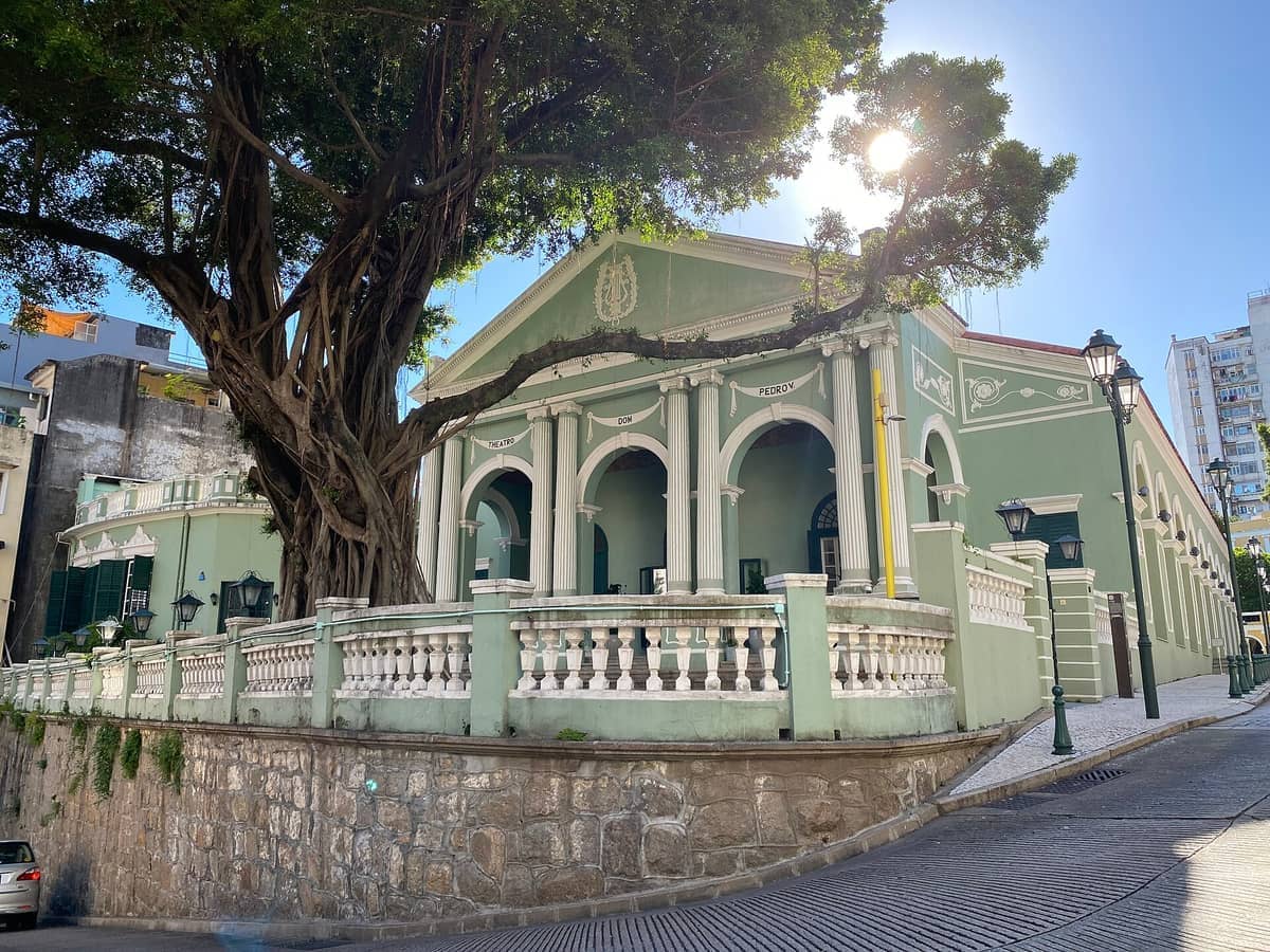 Die hellgrüne neoklassizistische Fassade des Dom Pedro V Theaters in Macau, eingerahmt von einem großen Baum und einer sonnenbeschienenen Stadtlandschaft.