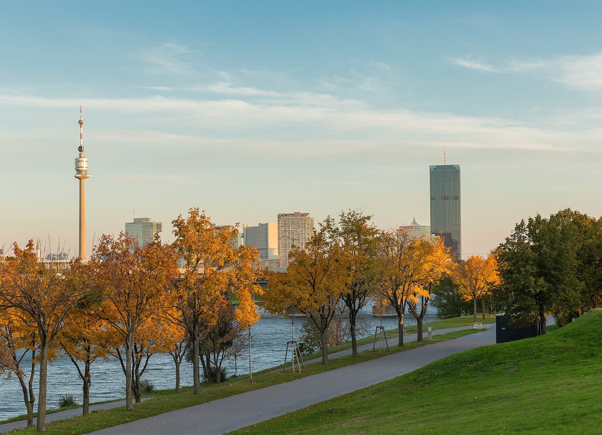 Mit Herbstbäumen gesäumter Weg auf der Donauinsel in Wien, mit der Donau und der Stadtsilhouette im Hintergrund.