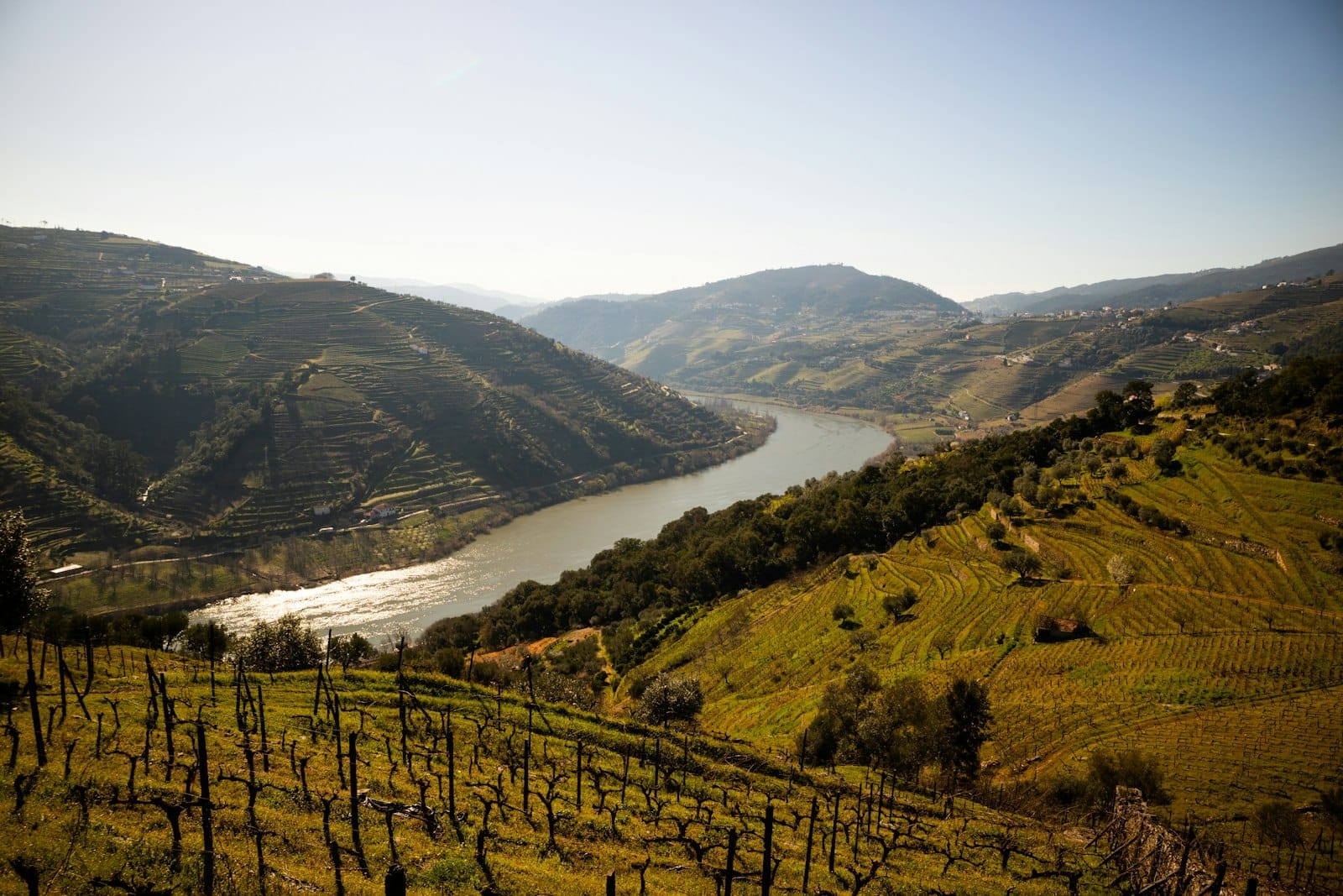 Vista panorâmica do Vale do Douro com vinhedos em terraços, uma adega branca tradicional, ciprestes e o tranquilo Rio Douro sob um céu azul com nuvens.