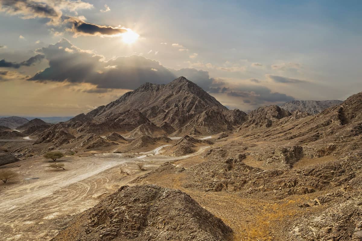 Felsige Wüstenlandschaft bei Sonnenuntergang mit vereinzelten Bäumen und schroffen Bergen, die die unberührte Wildnis nahe Hatta, Dubai, heraufbeschwören.