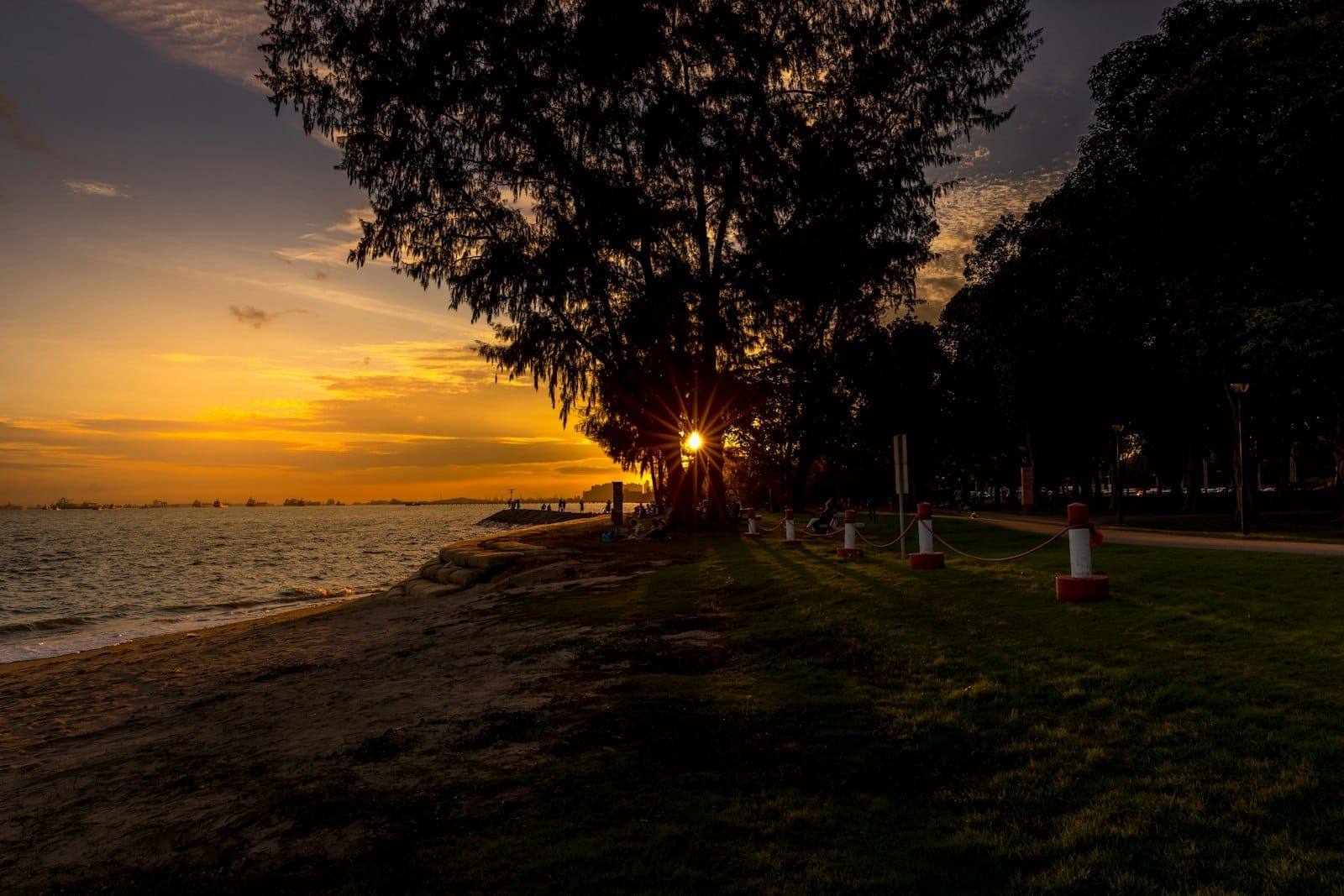 พระอาทิตย์ตกดินสุดอลังการที่ East Coast Park ท้องฟ้าสีทอง ชายหาดทราย ต้นไม้ และสนามหญ้าริมทะเล บรรยากาศริมชายฝั่งอันสงบเงียบ