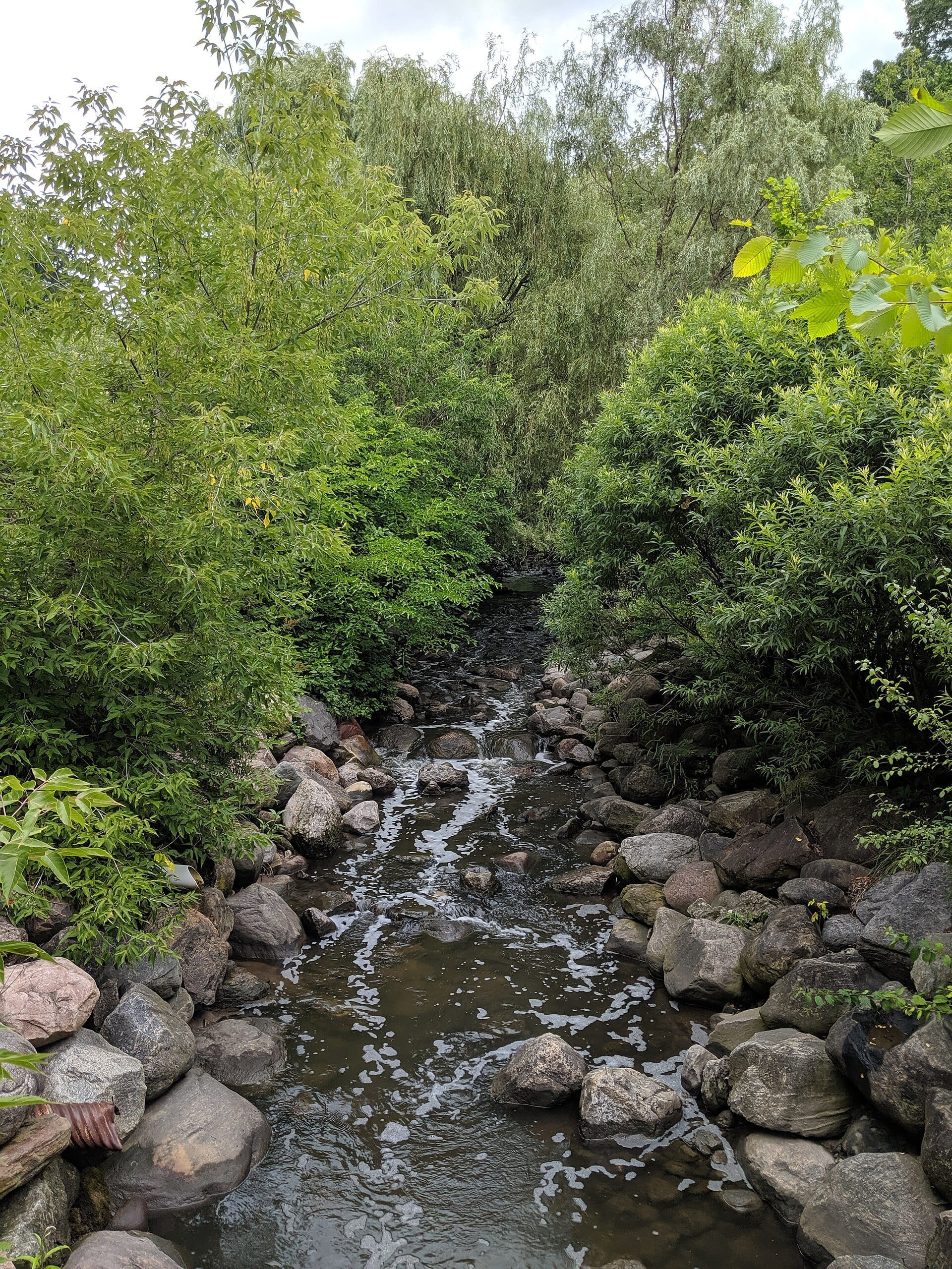 ลำธารร่มรื่นที่ล้อมรอบด้วยหินและต้นไม้เขียวขจี ตั้งอยู่ภายใน Edwards Gardens ใน Toronto Botanical Garden