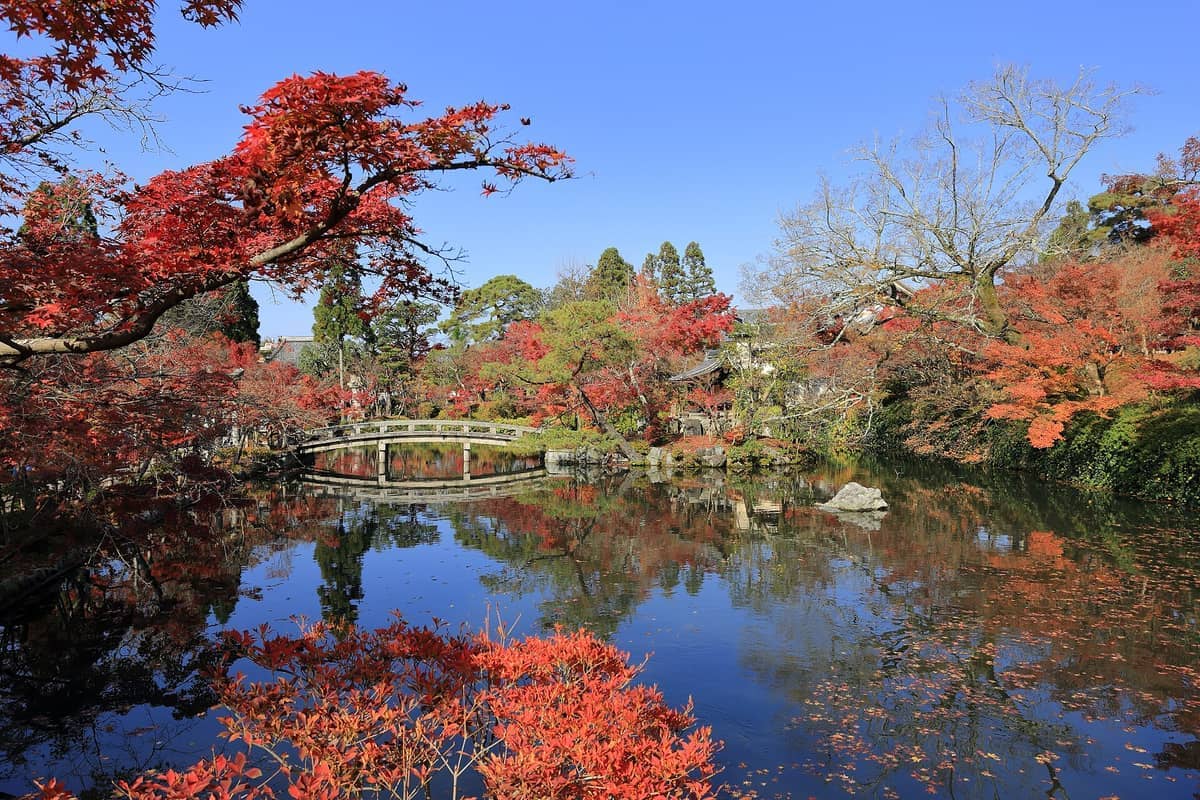 Scenic view of Eikan-do Zenrin-ji Temple’s pond, arched bridge, and trees with vivid autumn foliage reflected in the calm water.