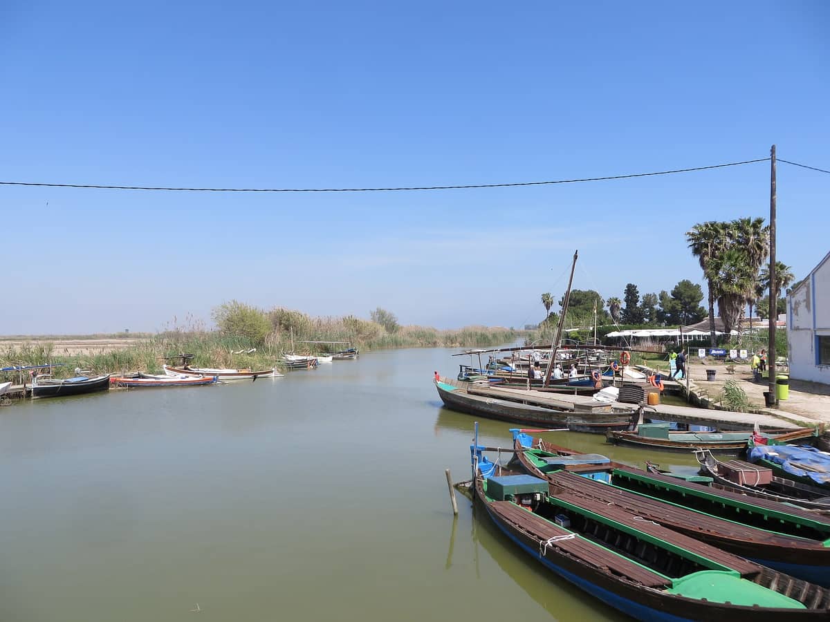 Tradizionali barche dell'Albufera ormeggiate lungo la riva del lago, accanto agli edifici del villaggio, palme e canneti di El Palmar, sotto un cielo azzurro e luminoso.