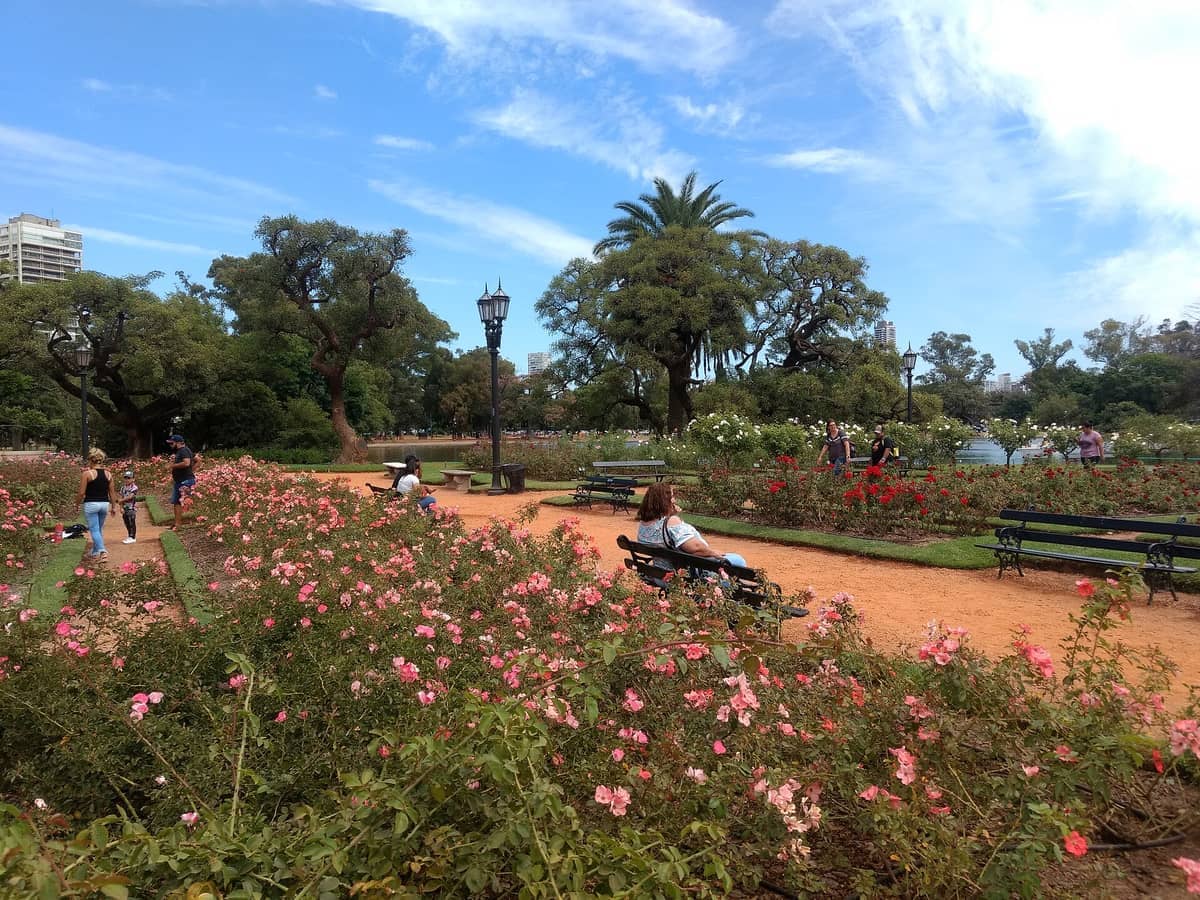 มุมมองกว้างของ El Rosedal de Palermo พร้อมพุ่มกุหลาบที่กำลังบาน ม้านั่งในสวน นักท่องเที่ยวกำลังเดินเล่น และต้นไม้สูงใต้ท้องฟ้าสีฟ้าสดใส