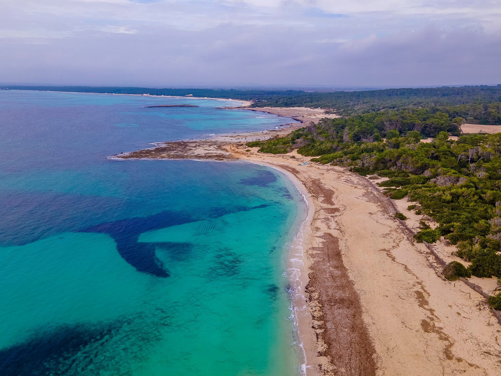 Vista aerea della spiaggia di Es Trenc a Mallorca con acqua turchese, riva sabbiosa e dune incontaminate circondate da una rigogliosa foresta verde.