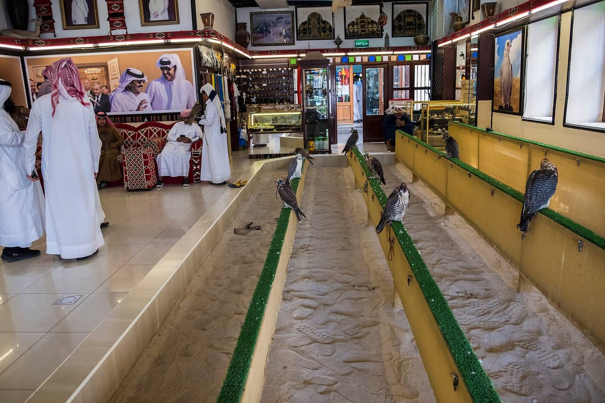 Innenansicht des Falcon Souq in Doha mit Männern in traditioneller Kleidung, mehreren lebenden Falken auf Ständern und Markdekor, das die katarische Falknerei-Kultur widerspiegelt.