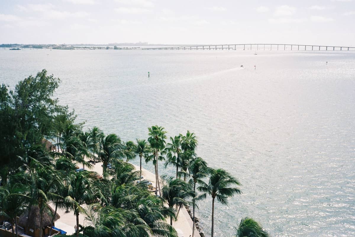 View from above of Miami waterfront with palm trees and a long bridge over the bay, showing the shoreline and sea.
