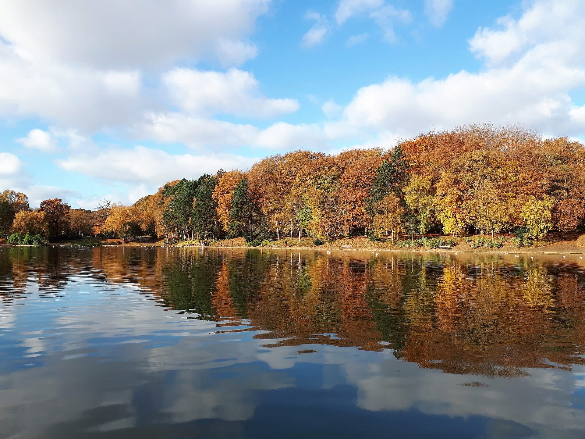 Alberi autunnali con foglie dorate riflesse in un lago calmo sotto un cielo azzurro alla Forêt de Montgeon, Le Havre.
