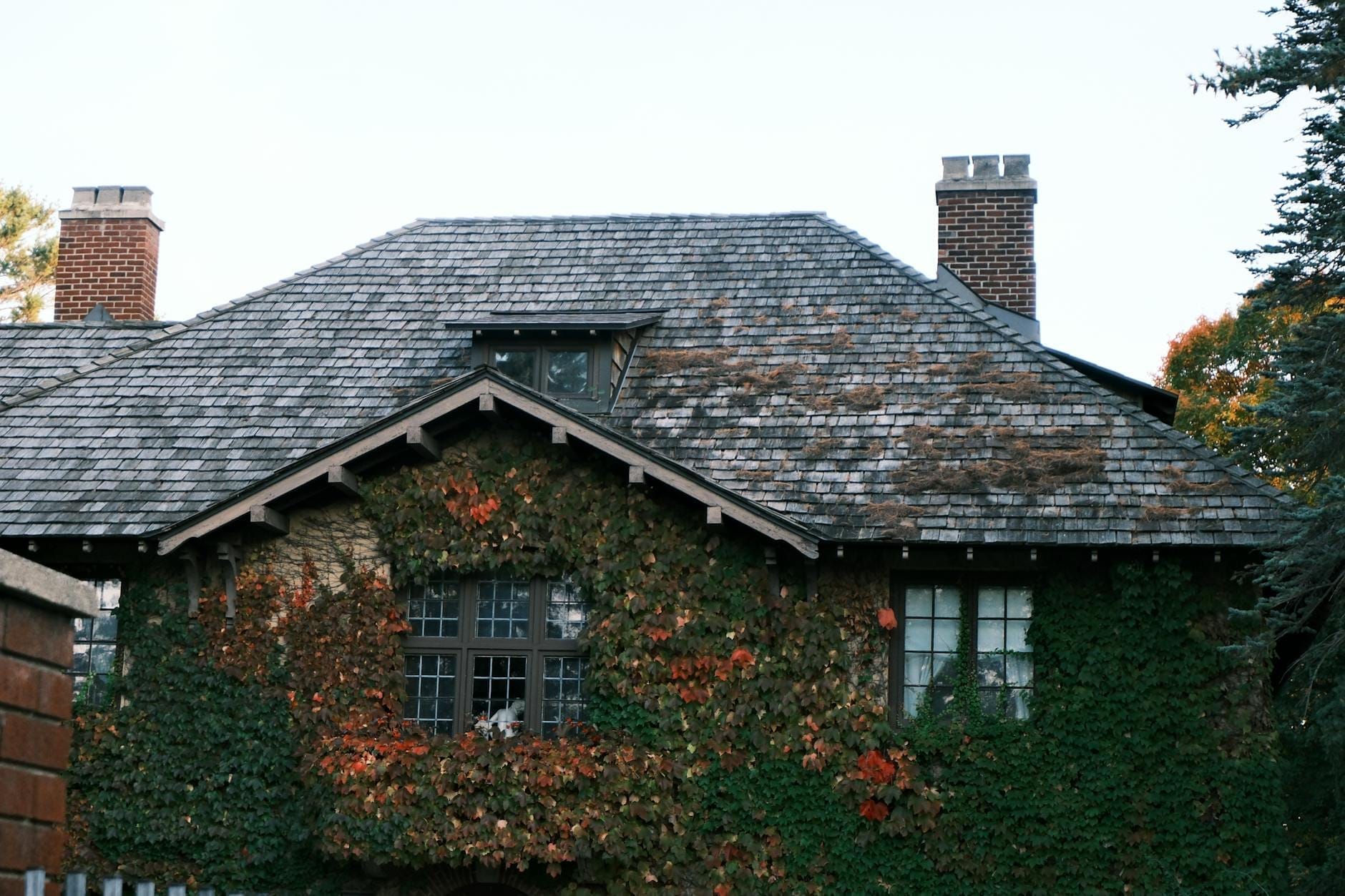 Frank Wright
