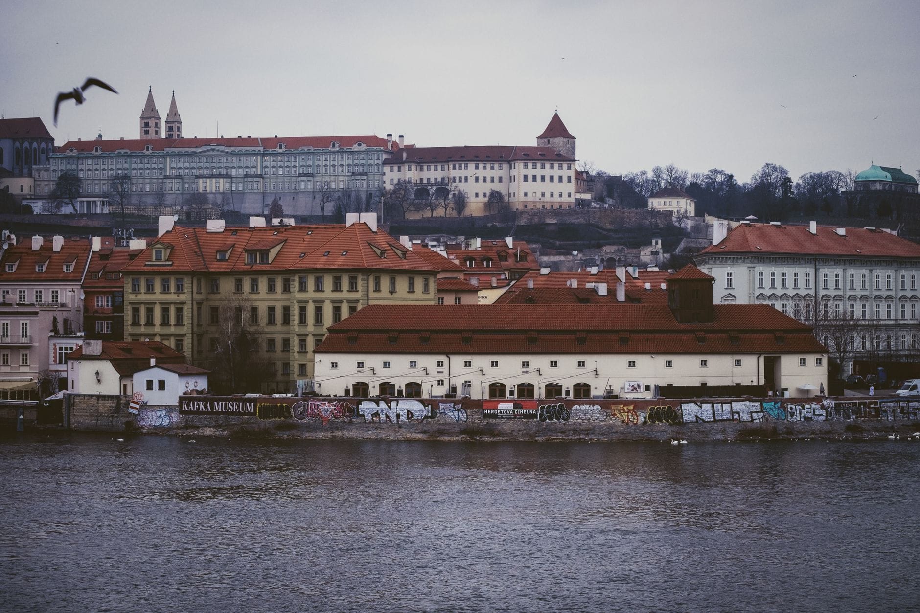 Vista dall'altra riva sul palazzo del Museo Franz Kafka sulla riva di Malá Strana a Praga, con graffiti e architetture storiche sullo sfondo.