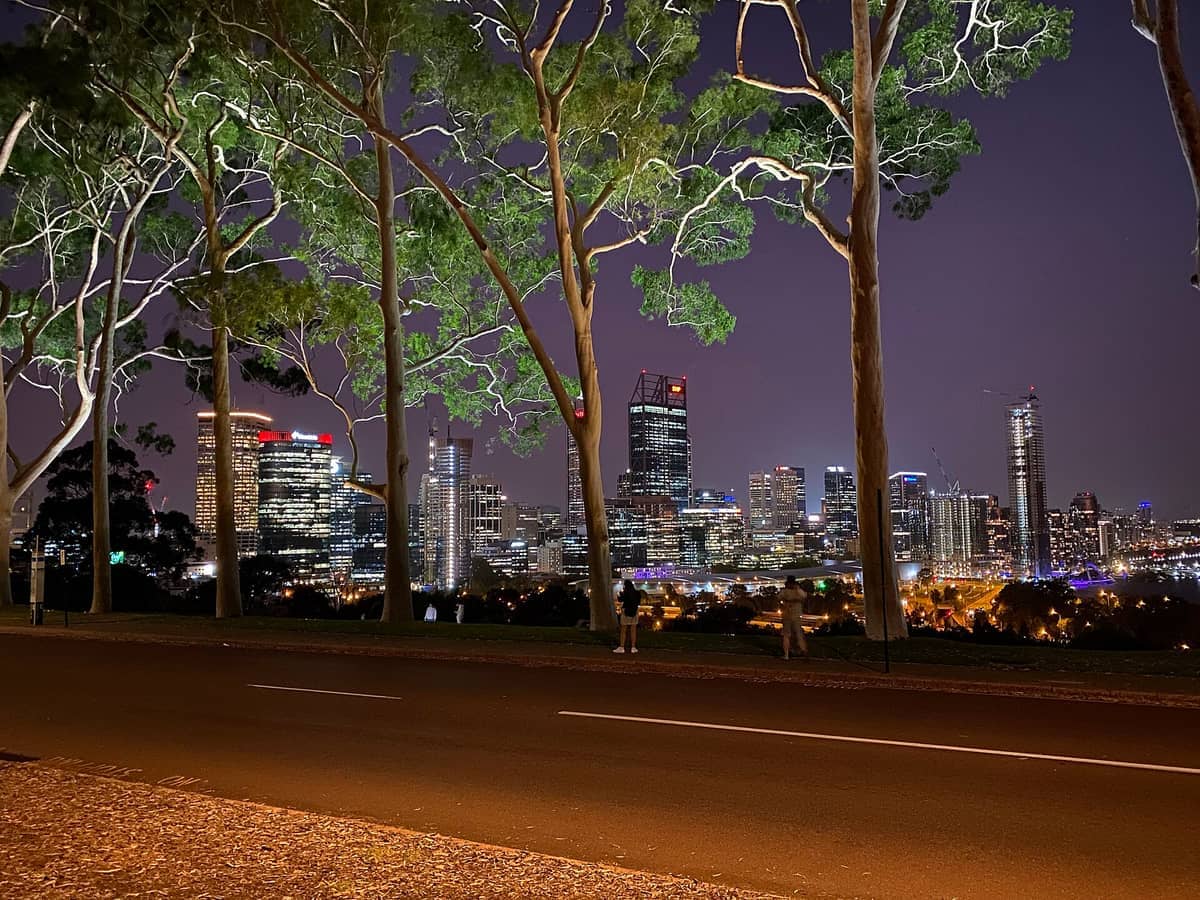 Vista nocturna del horizonte de Perth a través de los altos eucaliptos de limón que bordean Fraser Avenue en Kings Park, iluminados suavemente por farolas.