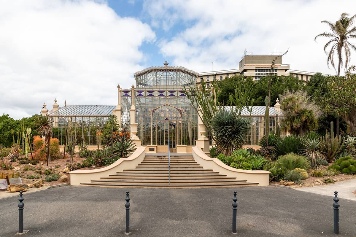 Palm House Gewächshaus des Adelaide Botanic Garden mit Treppen, umgeben von üppigen Gärten und Grünflächen, Stadtgebäude und Bäume im Hintergrund