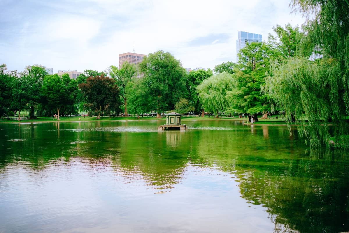 Bujny miejski park ze stawem, liściastymi drzewami i widokiem wieżowców Bostonu w tle w pochmurny dzień.
