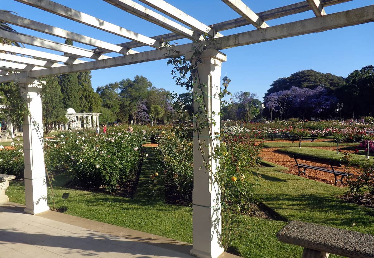 วิวสวนกุหลาบ Rosedal ใน Parque Tres de Febrero เมือง Buenos Aires พร้อมซุ้มเถาวัลย์ แปลงดอกไม้ ม้านั่ง และสนามหญ้าที่ดูแลอย่างดีภายใต้ท้องฟ้าสีฟ้าใส