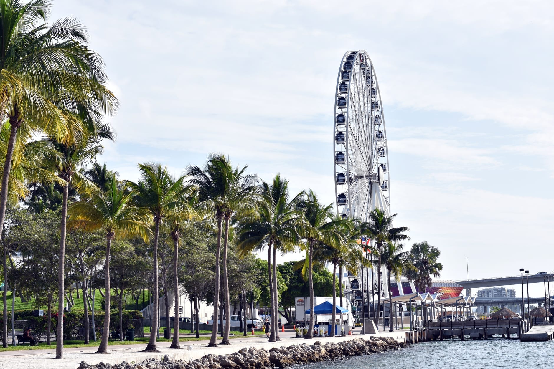A roda-gigante do Bayside Marketplace se ergue acima das palmeiras e do calçadão à beira-mar em Miami, com céu azul e nuvens esparsas.