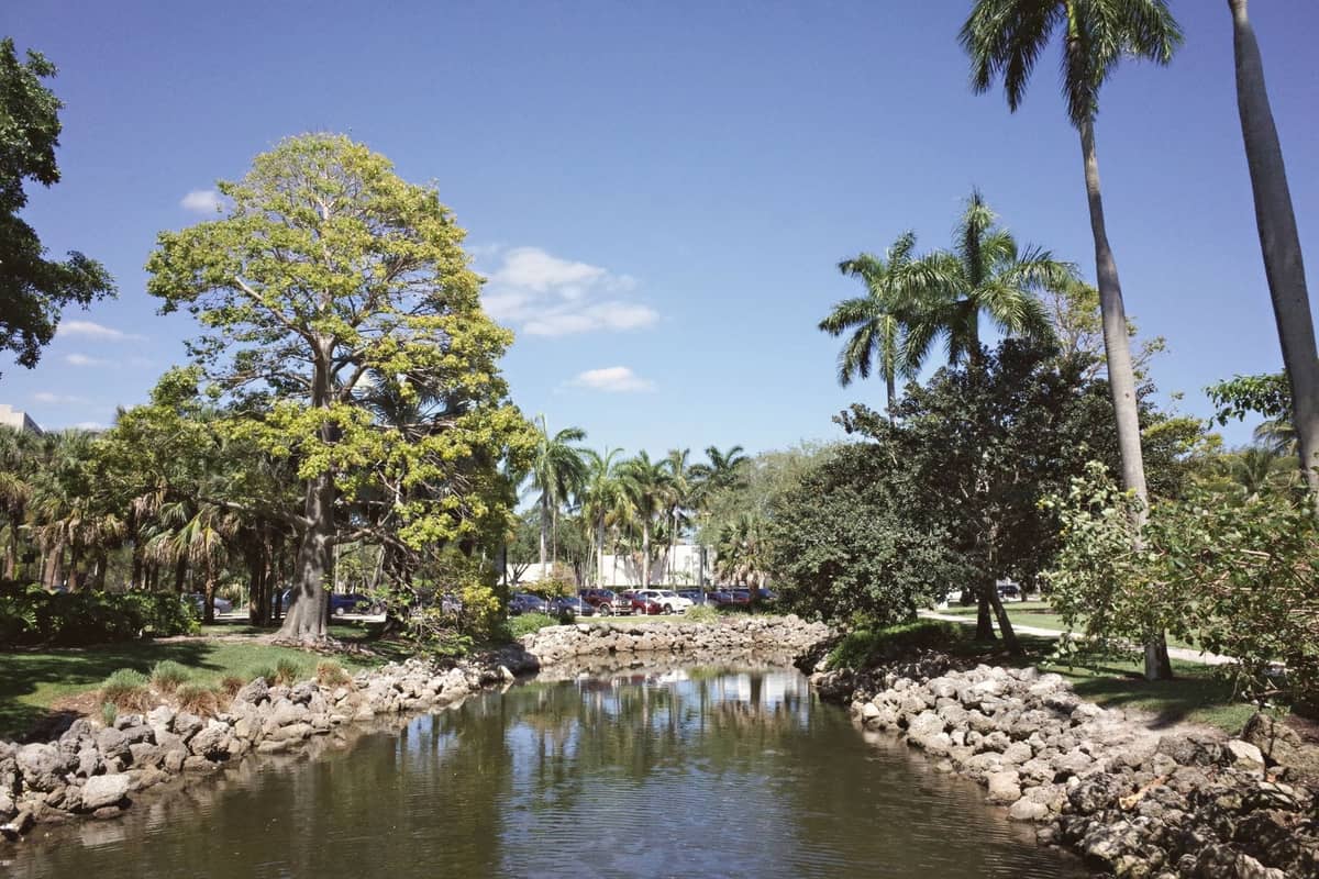 A tranquil Miami park scene with palm trees, a rocky stream, and grassy areas under a clear blue sky.