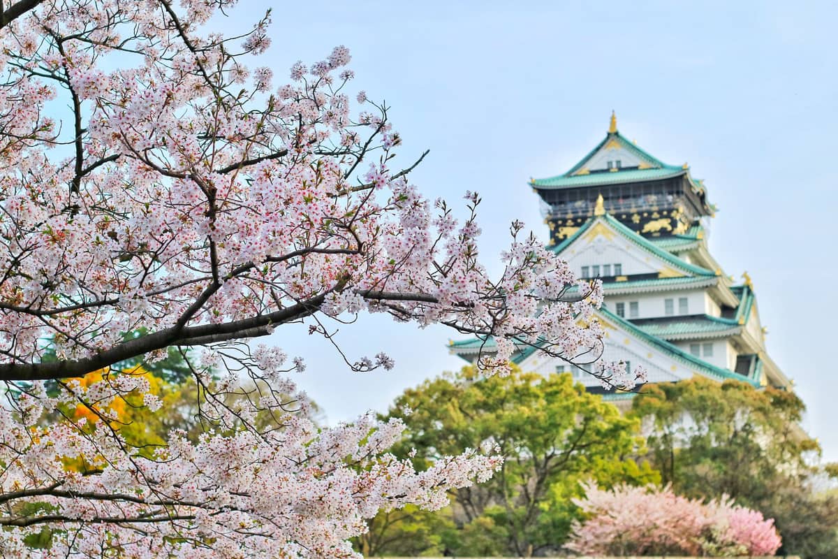 Osaka Castle surrounded by blooming cherry blossom trees and lush greenery on a clear spring day.