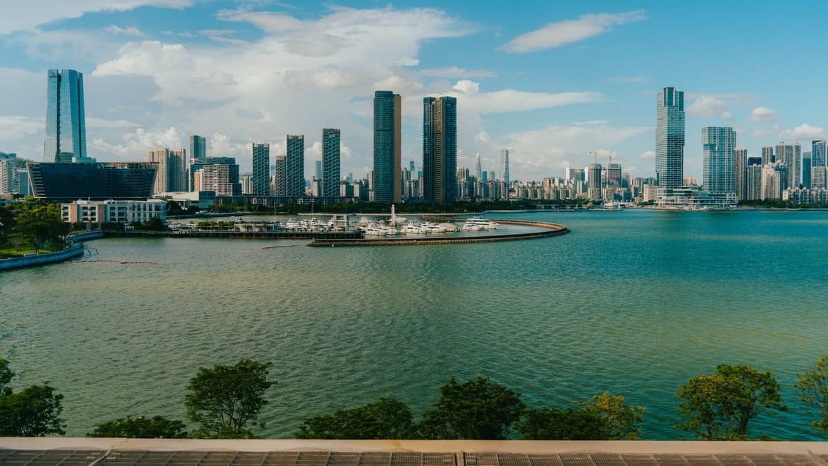 Panorâmica diurna da Baía de Shenzhen com imponentes arranha-céus modernos e uma marina circular, vista da ciclovia costeira com água e árvores em primeiro plano.