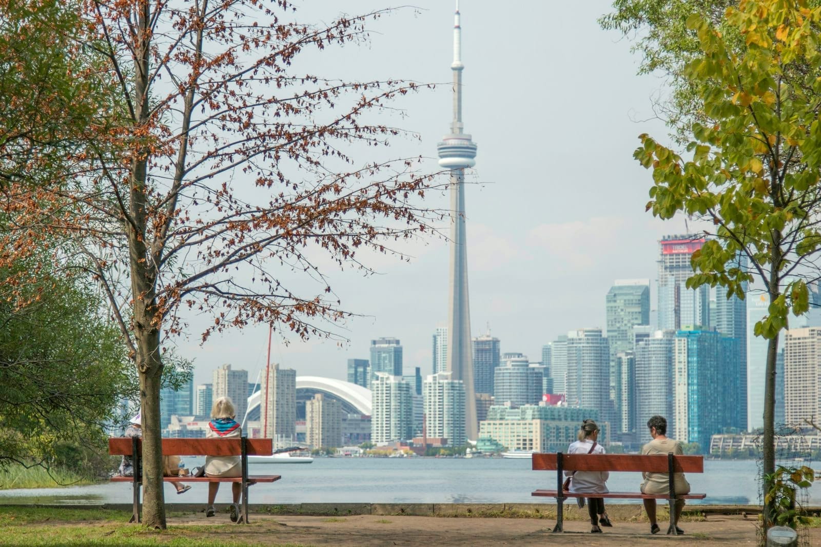 Bancos em um parque à beira-mar com vista clara do horizonte de Toronto, incluindo a CN Tower, em um dia calmo com árvores em primeiro plano.