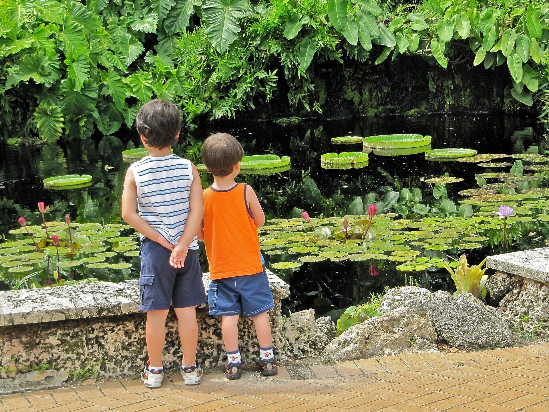 Due bambini piccoli in piedi vicino a uno stagno con foglie di ninfea e rigogliose piante tropicali al Fruit & Spice Park a Redland, Miami.