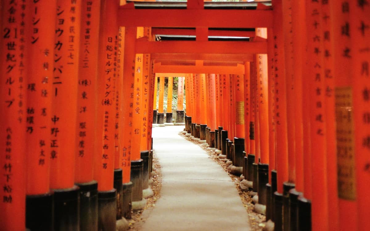 Pathway lined with thousands of vermilion torii gates at Fushimi Inari, curving through a forested trail in Kyoto.