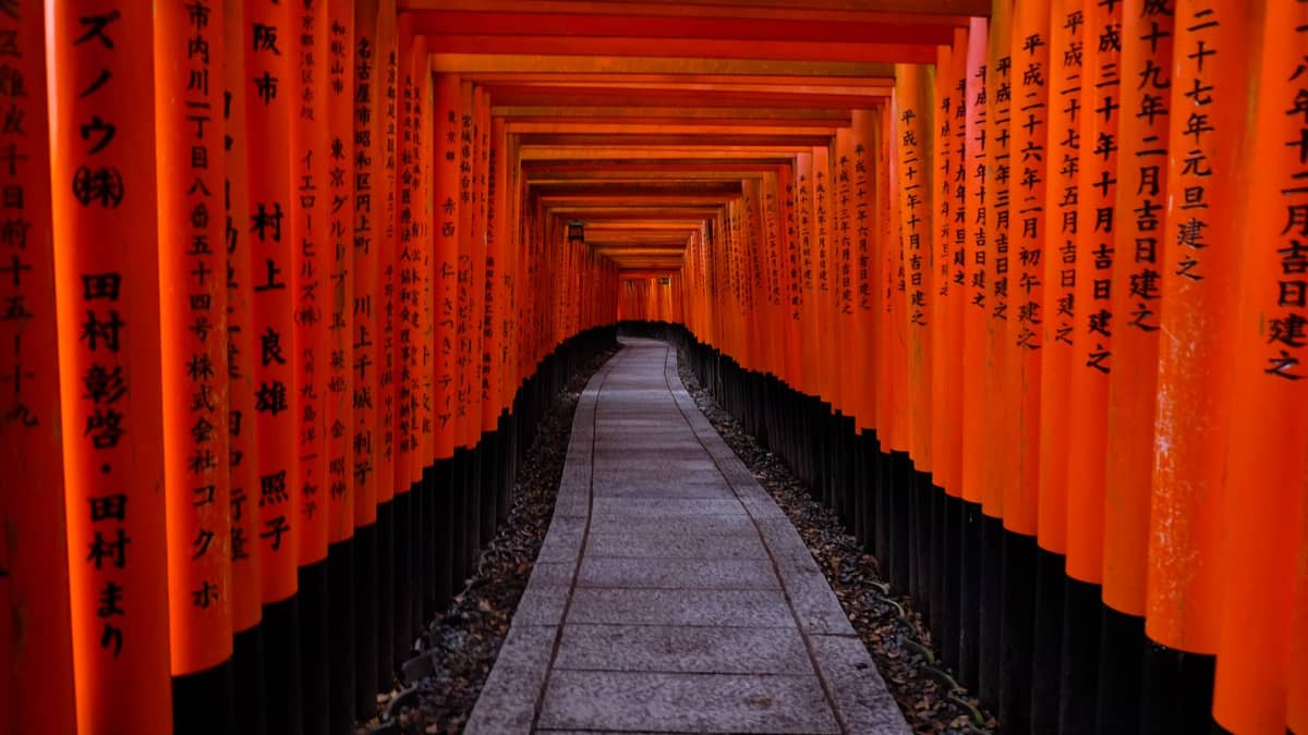 A long tunnel of vivid vermillion torii gates at Fushimi Inari Taisha, Kyoto, curving through lush forest with light and shadows along the path.