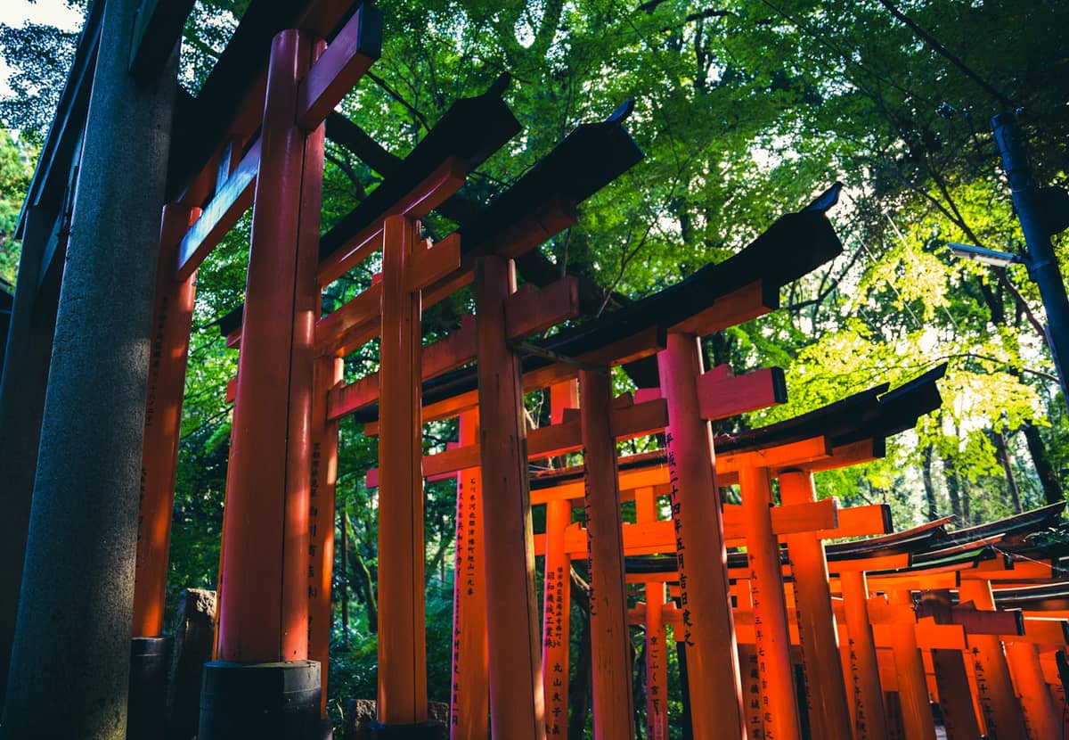 Rows of vibrant red torii gates at Fushimi Inari Taisha Shrine in Kyoto, with green trees overhead and sunlight filtering through the forest.