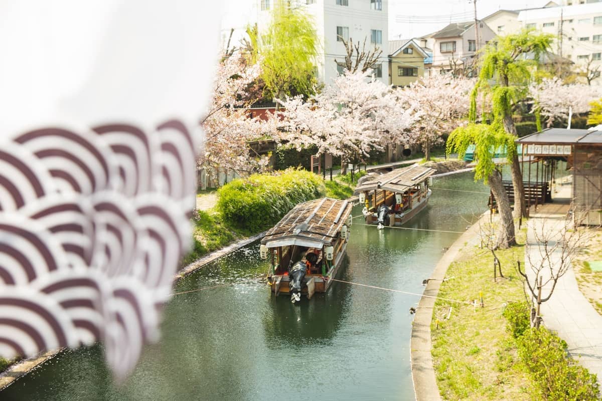 Traditional wooden canal boats float along the cherry blossom-lined waterways of Fushimi Sake District in Kyoto on a bright spring day.
