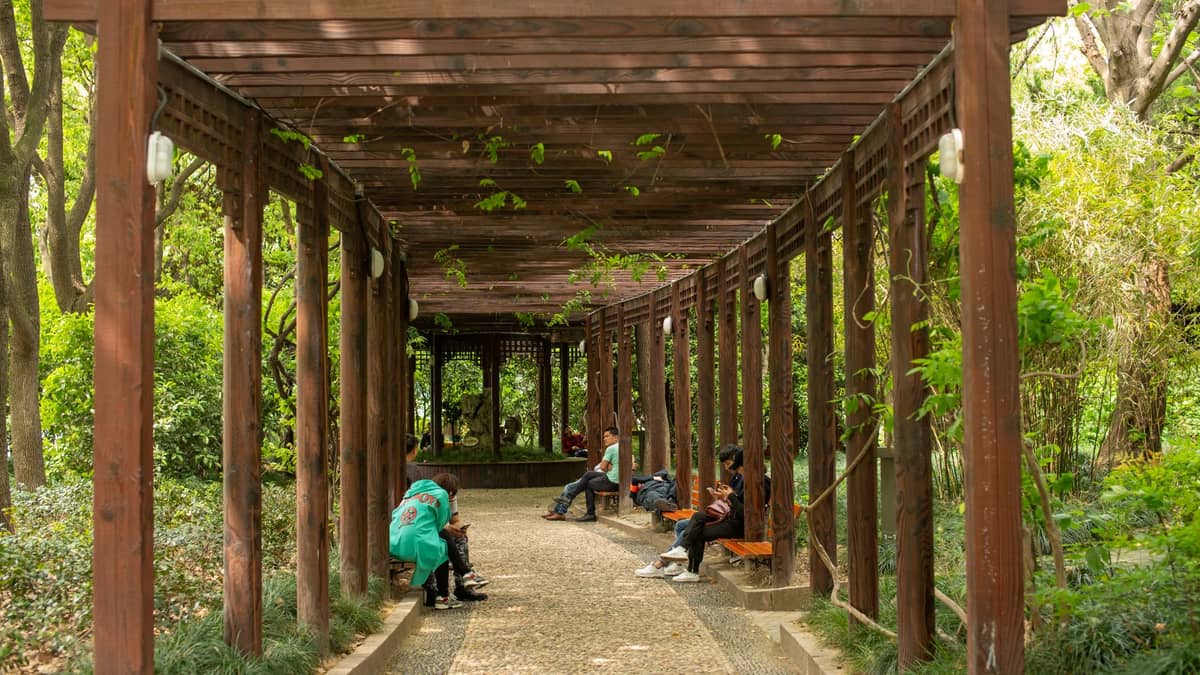 Menschen, die auf Bänken unter dem Holzpergola-Weg entspannen, umgeben von üppigem Grün im Fuxing-Park im französischen Viertel Shanghais.