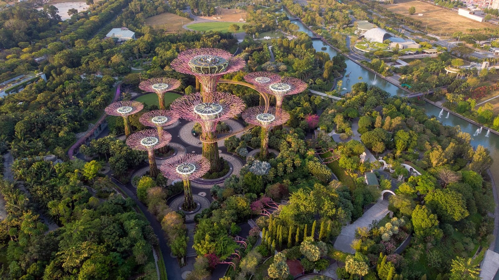 มุมสูงของ Supertree Grove อันโดดเด่นล้อมรอบด้วยพื้นที่สีเขียวขจีที่ Gardens by the Bay ในสิงคโปร์ พร้อมทางเดินคดเคี้ยวเบื้องล่าง