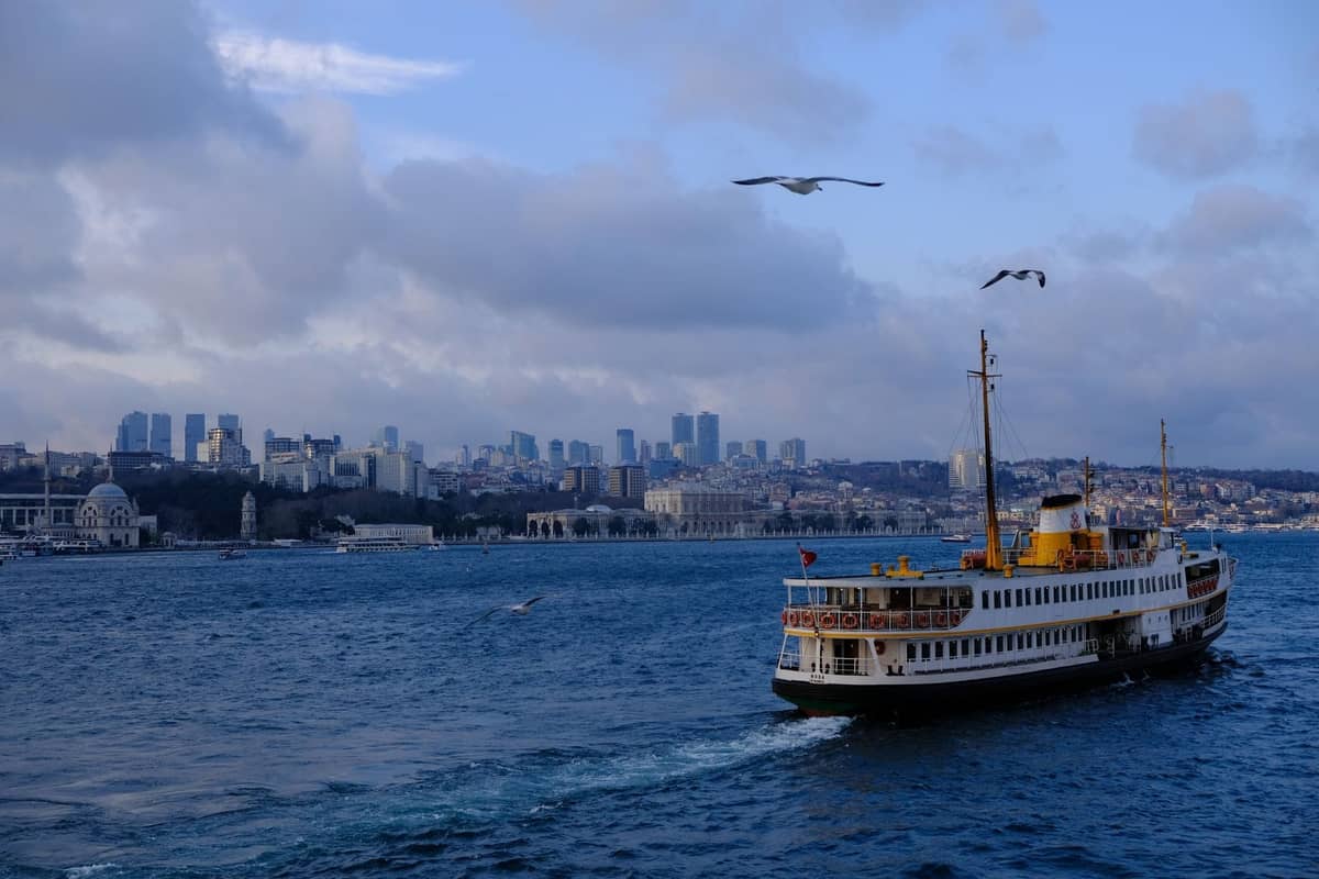 Mavi gökyüzü altında şehir silüeti ve martıların arka planda göründüğü, Boğaz'da seyreden klasik beyaz İstanbul vapuru.