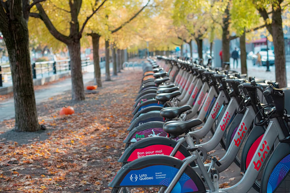 A long row of BIXI bikes at a docking station in Montreal, lined up under autumn trees with fallen leaves on the ground.