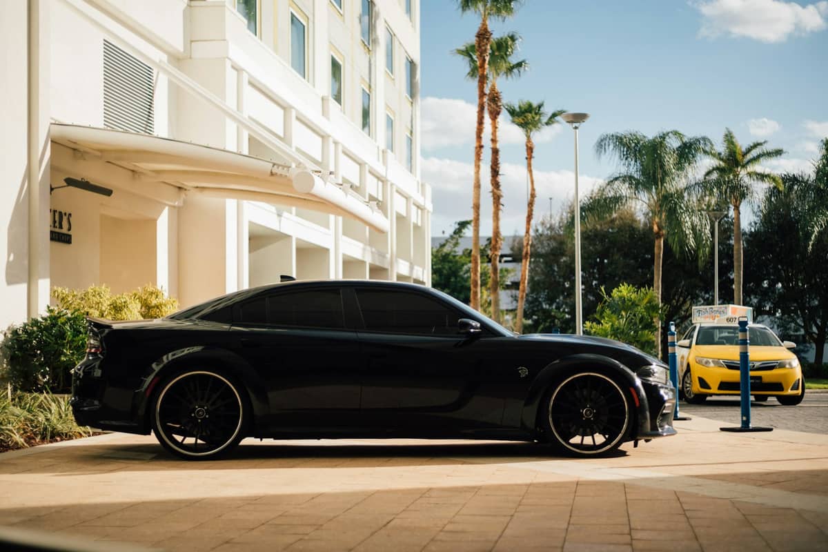 Two modern cars parked in front of a hotel entrance with palm trees and sunny weather